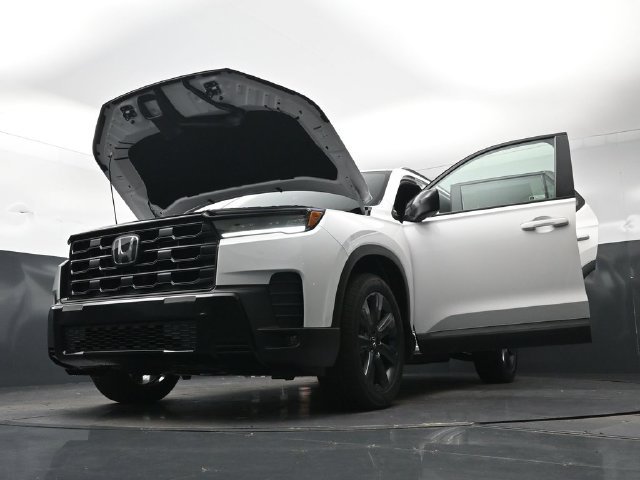 New 2026 Platinum White Pearl Honda Sport image 34