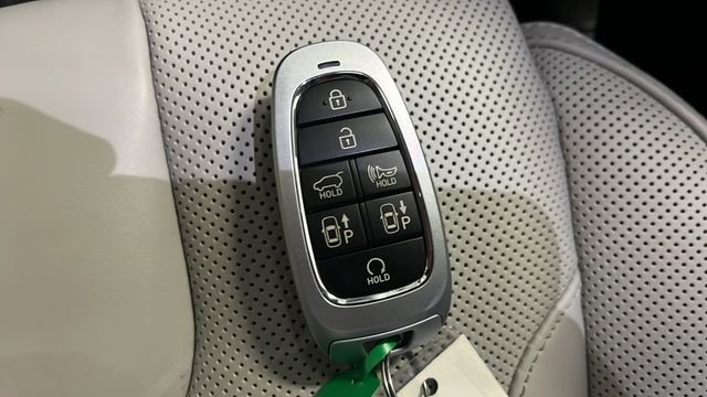 Used 2024 Steel Graphite Hyundai Calligraphy image 44