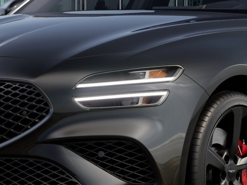 New 2027 Vik Black Genesis Standard image 11