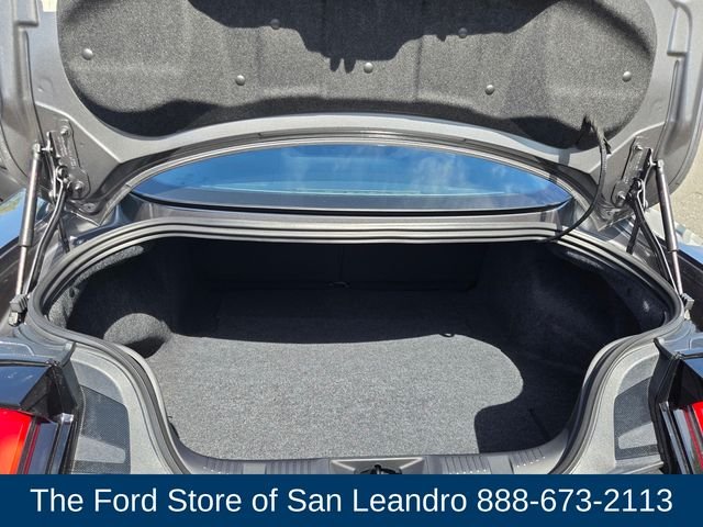 2025 Ford Mustang GT Fastback - Photo 12