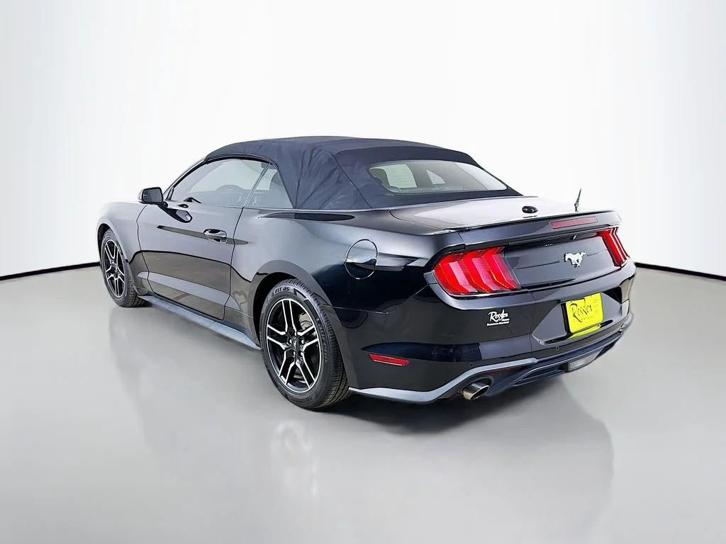 Used 2019 Black Ford EcoBoost Premium image 8