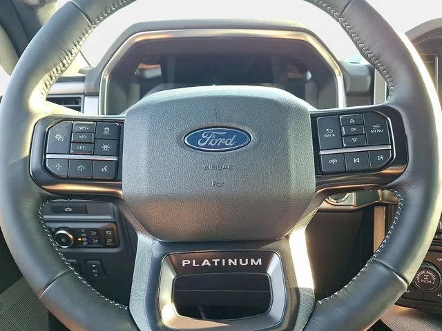 New 2026 Antimatter Blue Metallic Ford Platinum image 12