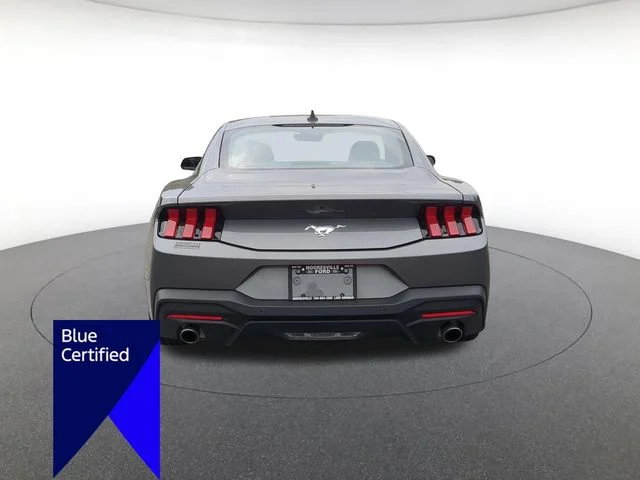 Used 2025 Gray Ford EcoBoost image 4