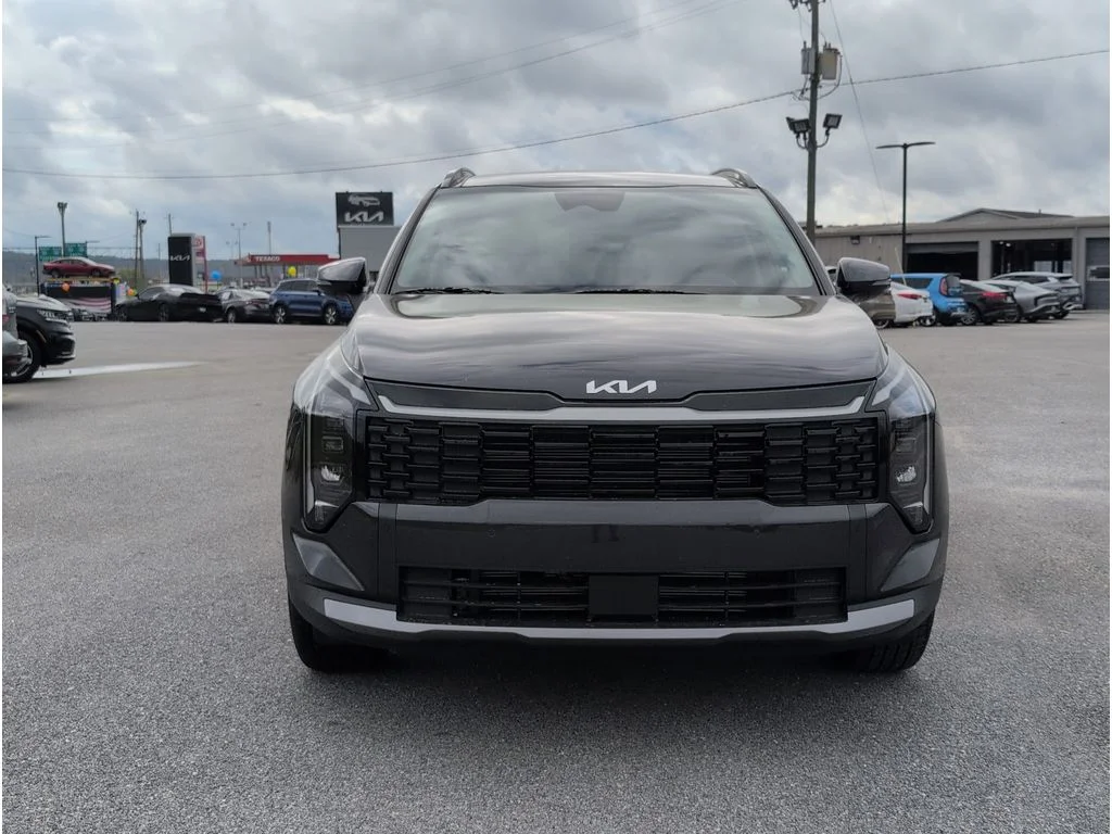 New 2026 Panthera Metal Kia EX image 8
