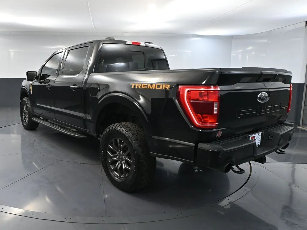 2023 Ford F-150 Tremor - Photo 8