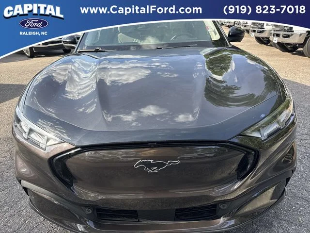 Used 2021 Gray Ford Premium image 10