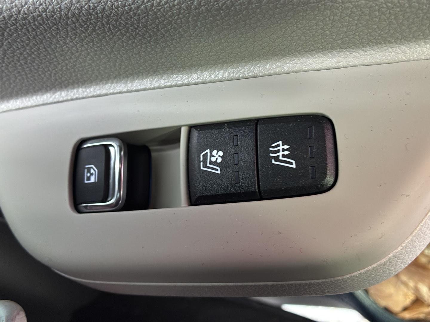 Used 2025 Panthera Metal Kia SX Prestige image 19
