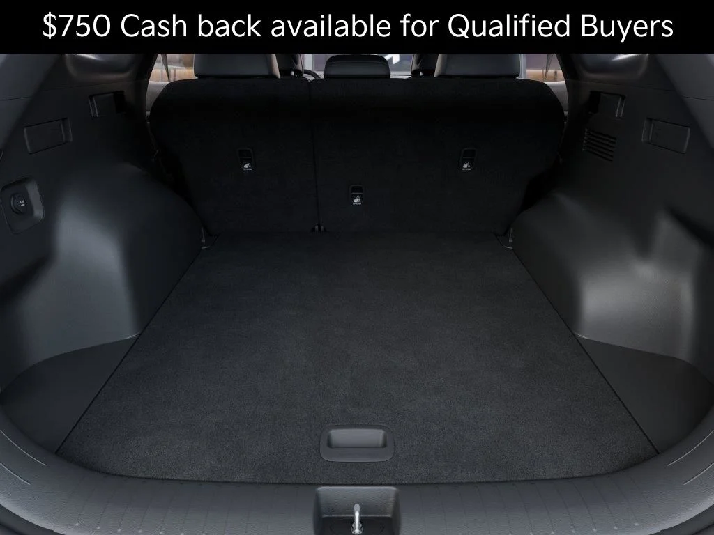 New 2027 Road Rider Brown / Black Roof Kia X-Line image 19