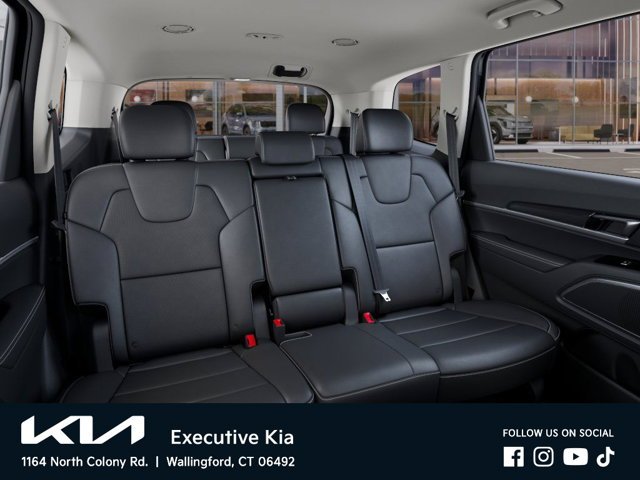 New 2025 Panthera Metal Kia LX image 16