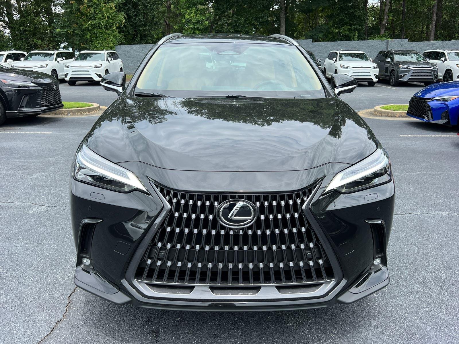 2026 Lexus NX 350 Luxury - Photo 2