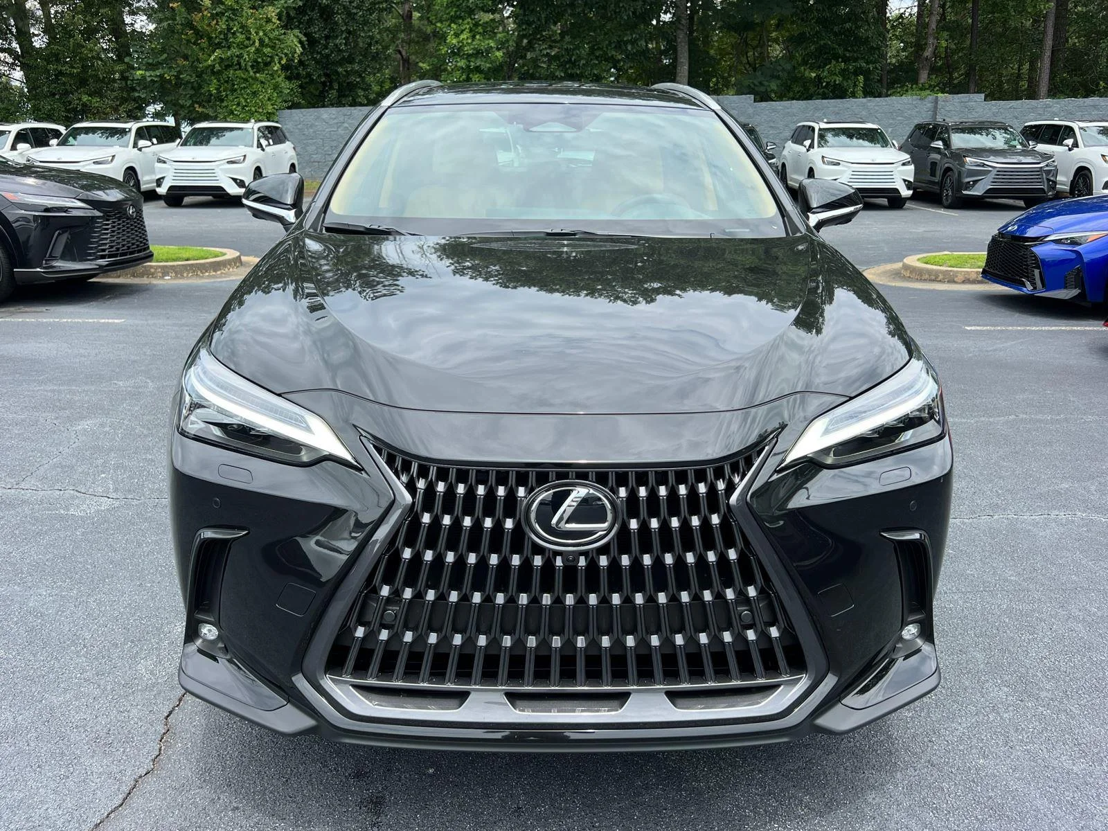 New 2026 Caviar Lexus NX 350 Luxury image 2