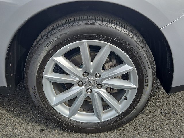 Photo 8