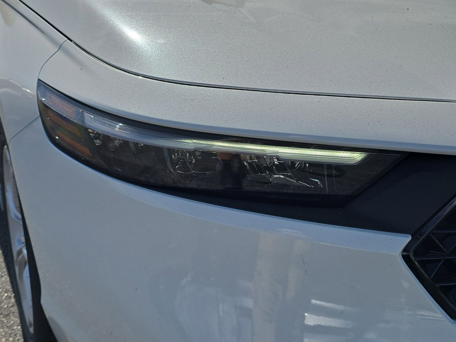 New 2026 Platinum White Pearl Honda LX image 7