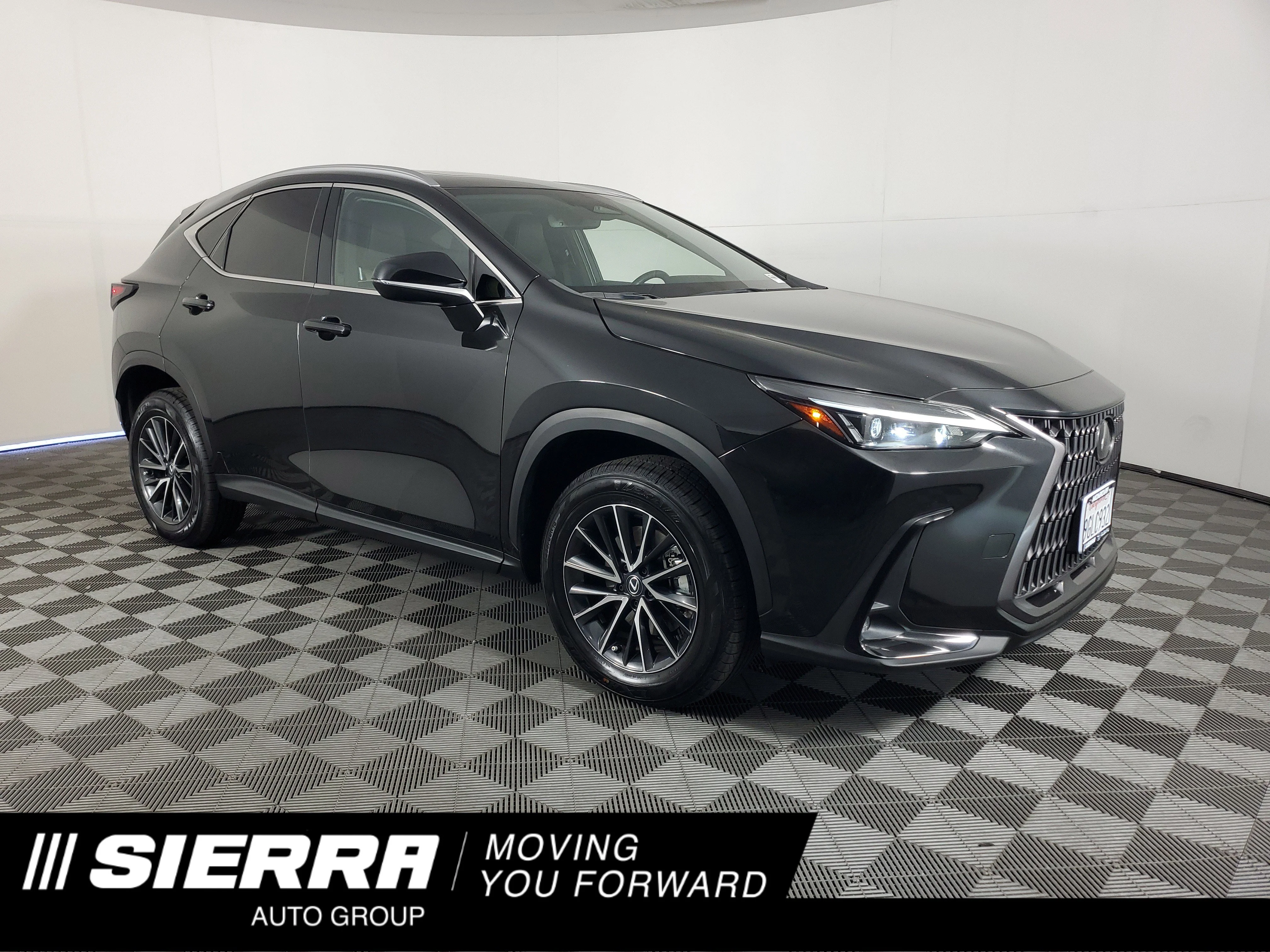2024 Lexus NX 350h 350h AWD's photo