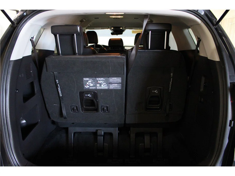 Used 2024 Panthera Metal Kia LX image 9