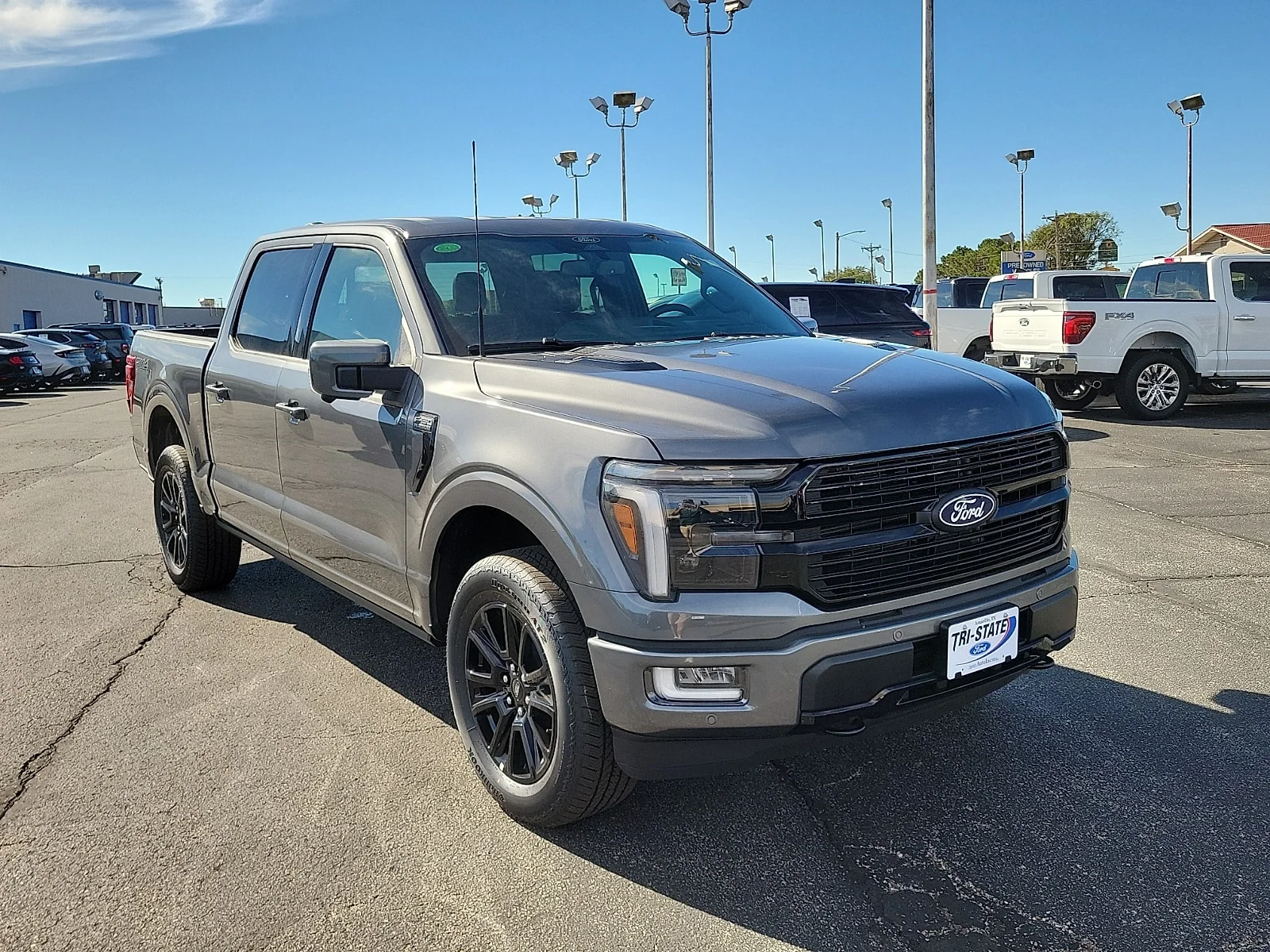 New 2026 Carbonized Gray Metallic Ford Platinum&reg; image 6