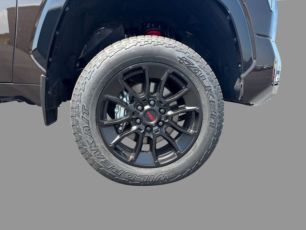 2025 Toyota Tundra 1794 Edition - Photo 24