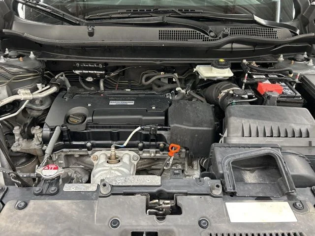 Used 2019 Gray Honda LX image 21