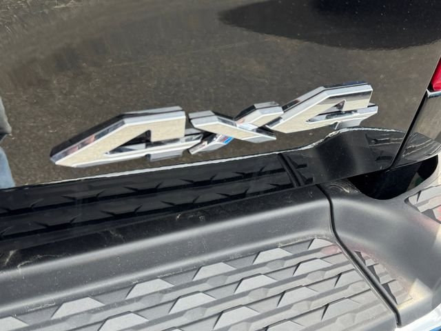 New 2024 Diamond Black Crystal Pearl-Coat Exterior Paint RAM Tradesman image 20