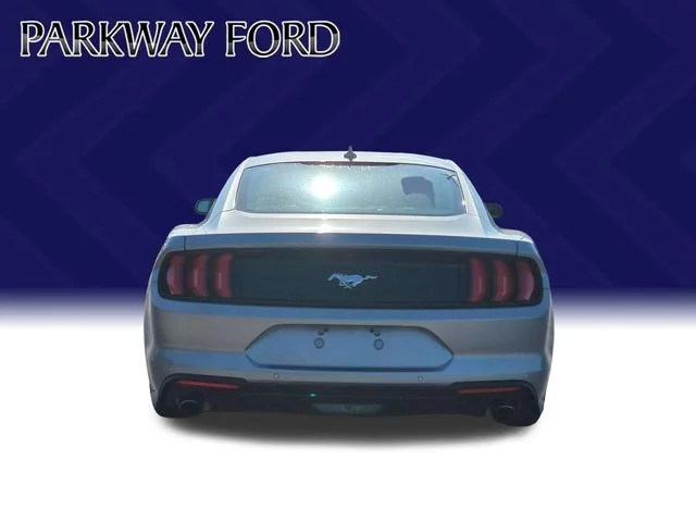 Used 2022 Silver Ford EcoBoost image 4