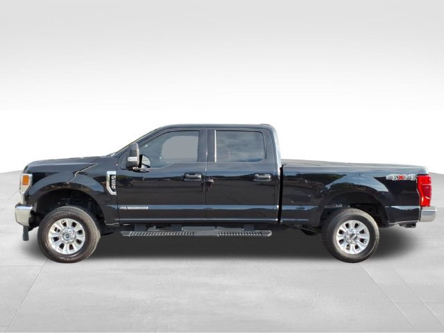 Used 2022 Black Ford XLT image 7
