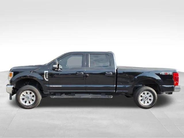 Used 2022 Black Ford XLT image 7
