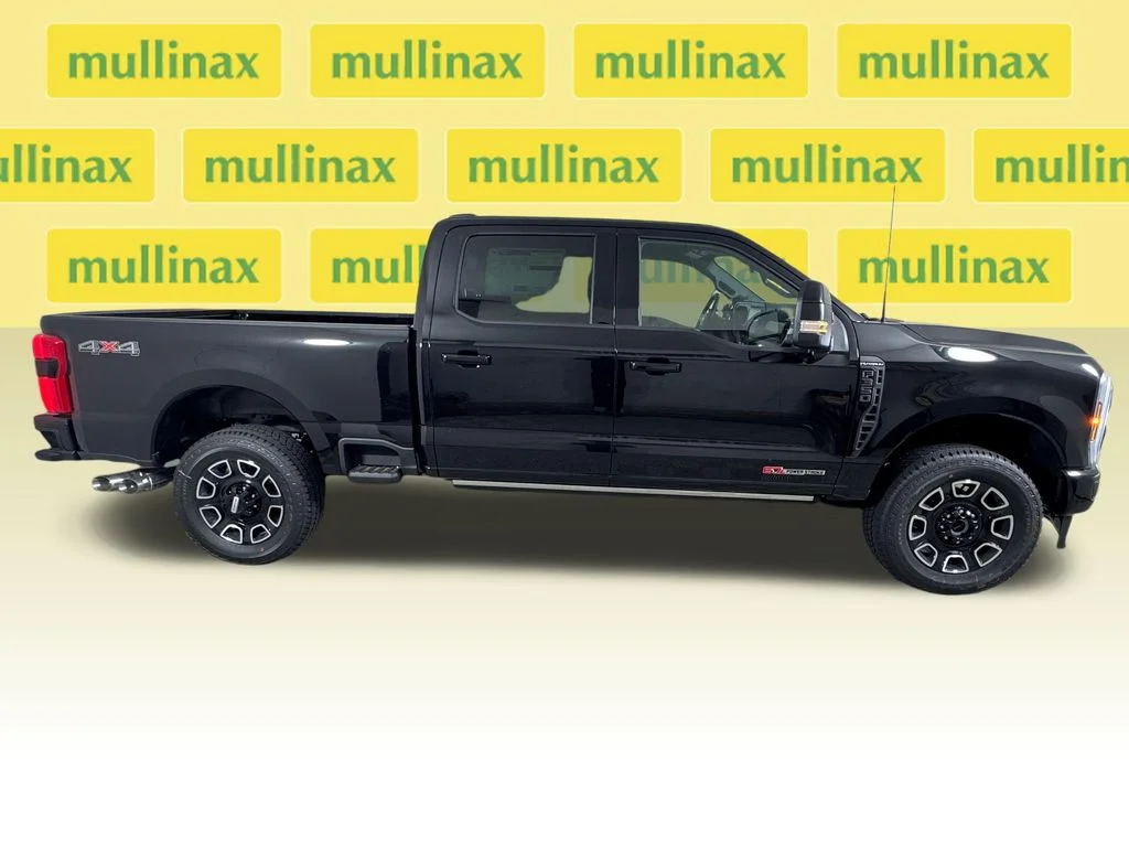 New 2026 Black Ford Platinum image 22