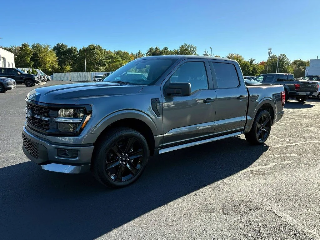 Used 2025 Gray Metallic Ford STX image 5