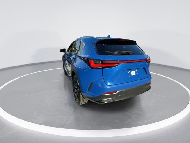 2025 Lexus NX 250 - Photo 6