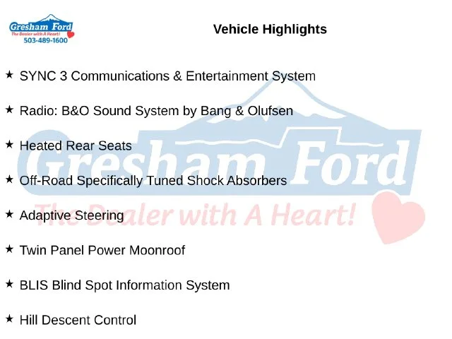 Certified Used 2019 Blue Ford King Ranch image 10