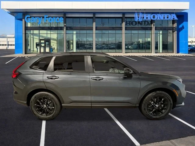 New 2026 Meteorite Gray Metallic Honda Sport-L image 8