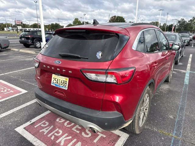 Used 2022 Red Ford SEL image 7