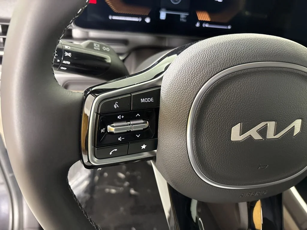 New 2026 Panthera Metal Kia LXS image 20