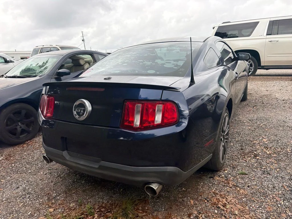 Used 2010  Ford GT Premium image 5