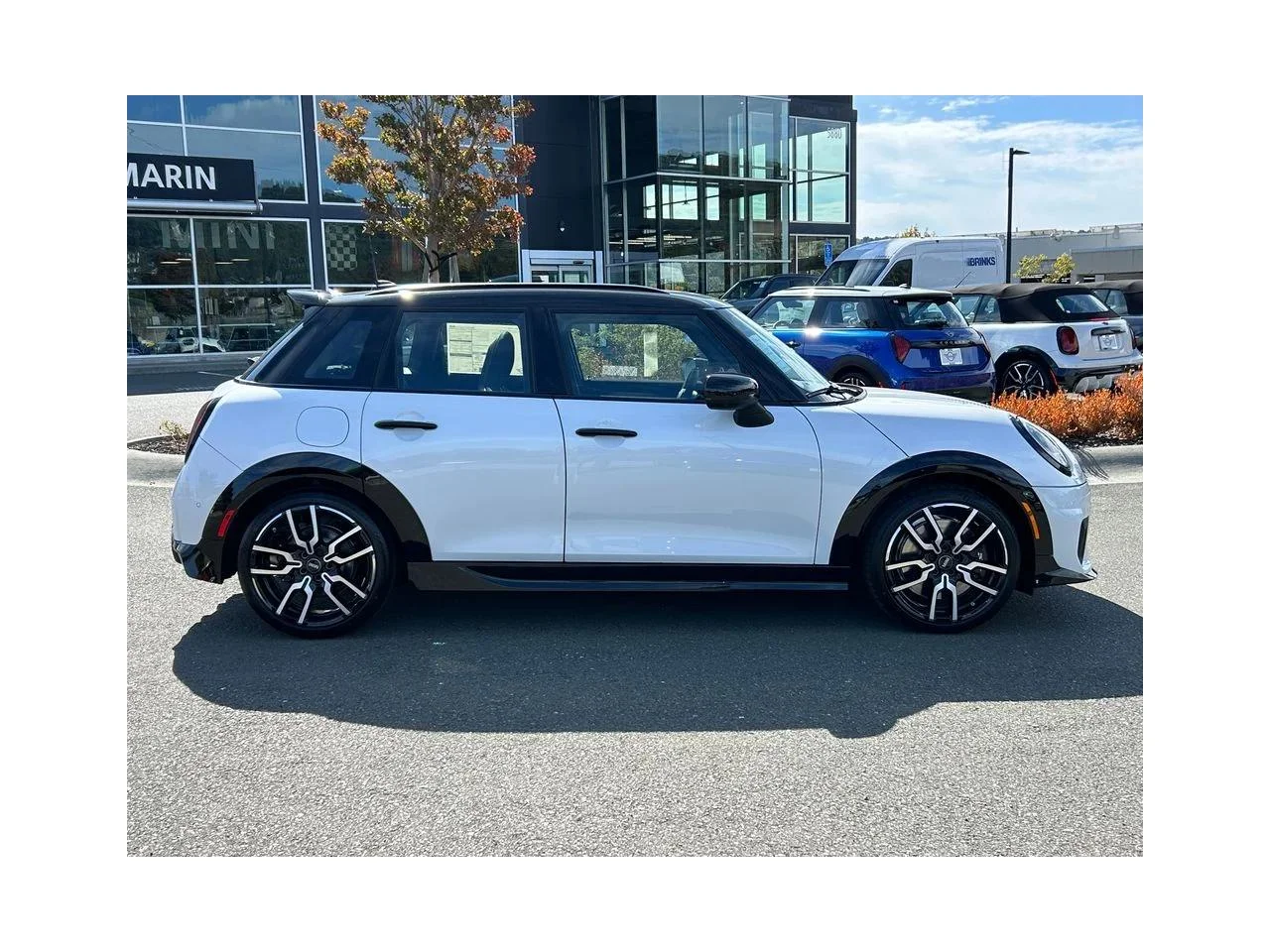 New 2026 Nanuq White Metallic MINI ICONIC image 6