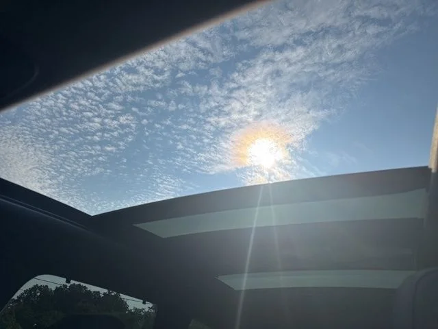 View 8