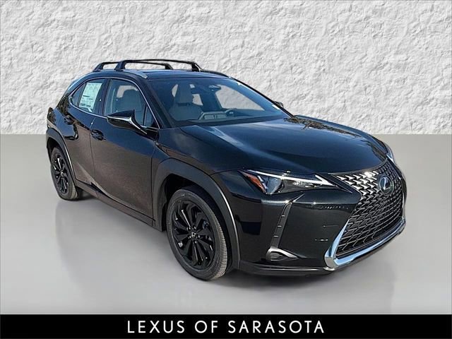 2025 Lexus UX Hybrid 300h