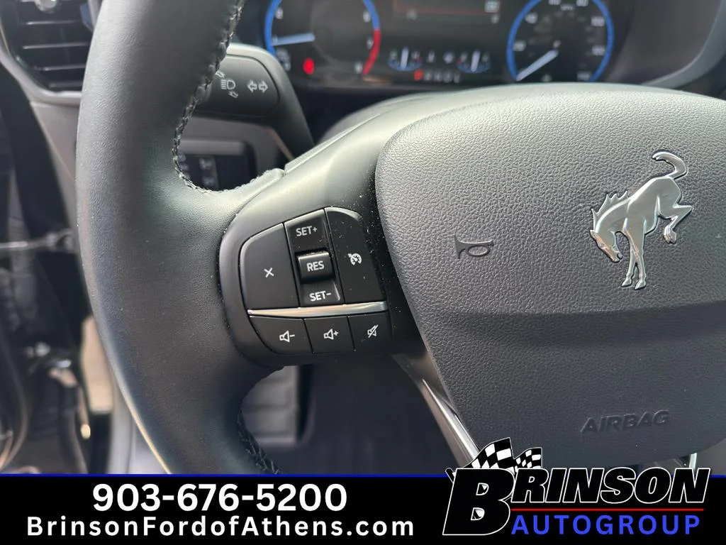 Used 2024 Shadow Black Ford Heritage image 19