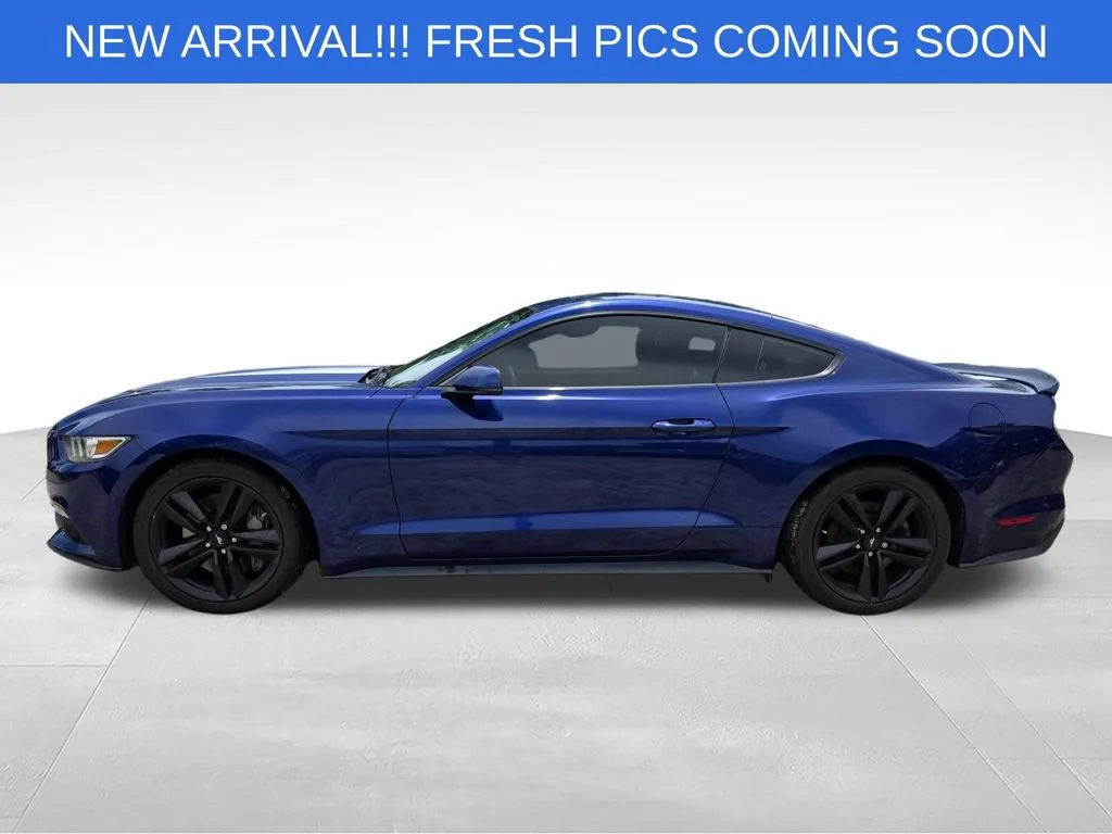 Used 2016 Blue Ford EcoBoost image 3