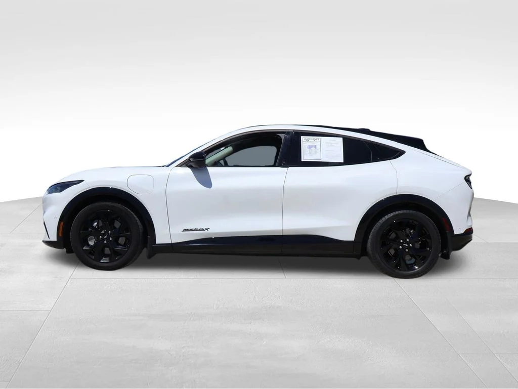 Certified 2023 Ford Mustang Mach-E Premium AWD with VIN 3FMTK3SU8PMA25224 for sale in Ozark, MO