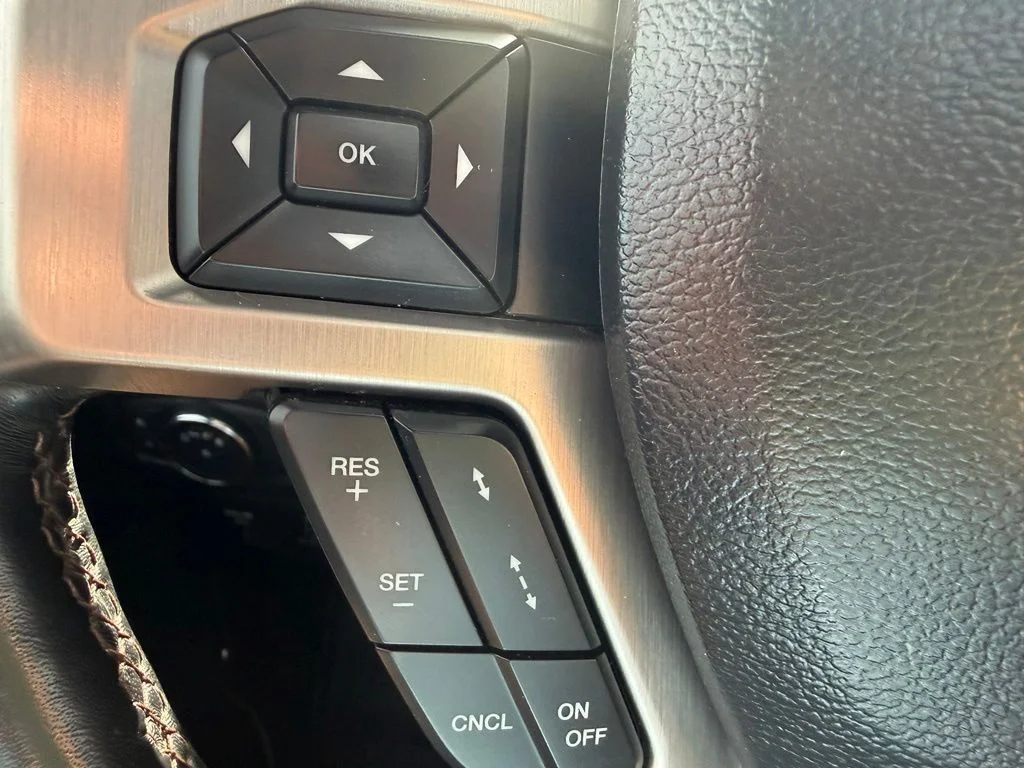 Used 2019 Red Ford Platinum image 15
