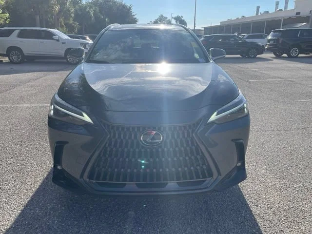 Certified Used 2025 Gray Lexus NX 250 Premium image 6