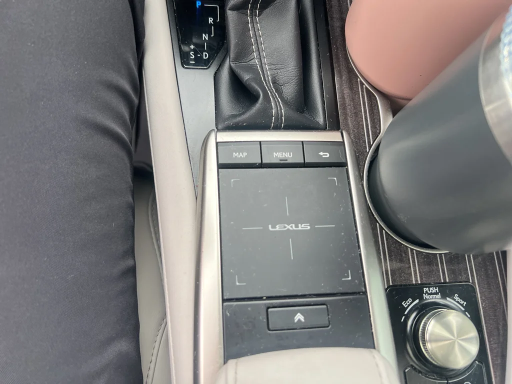 Used 2022 Nebula Gray Pearl Lexus LUXU image 11
