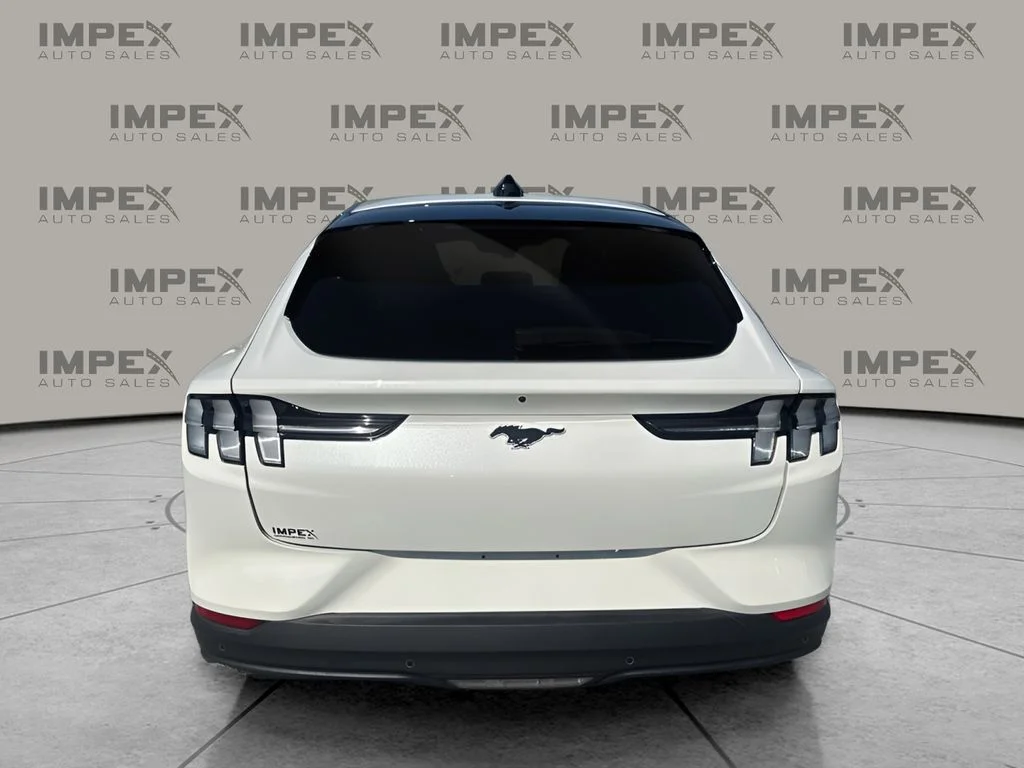 Used 2025 White Ford Premium image 4