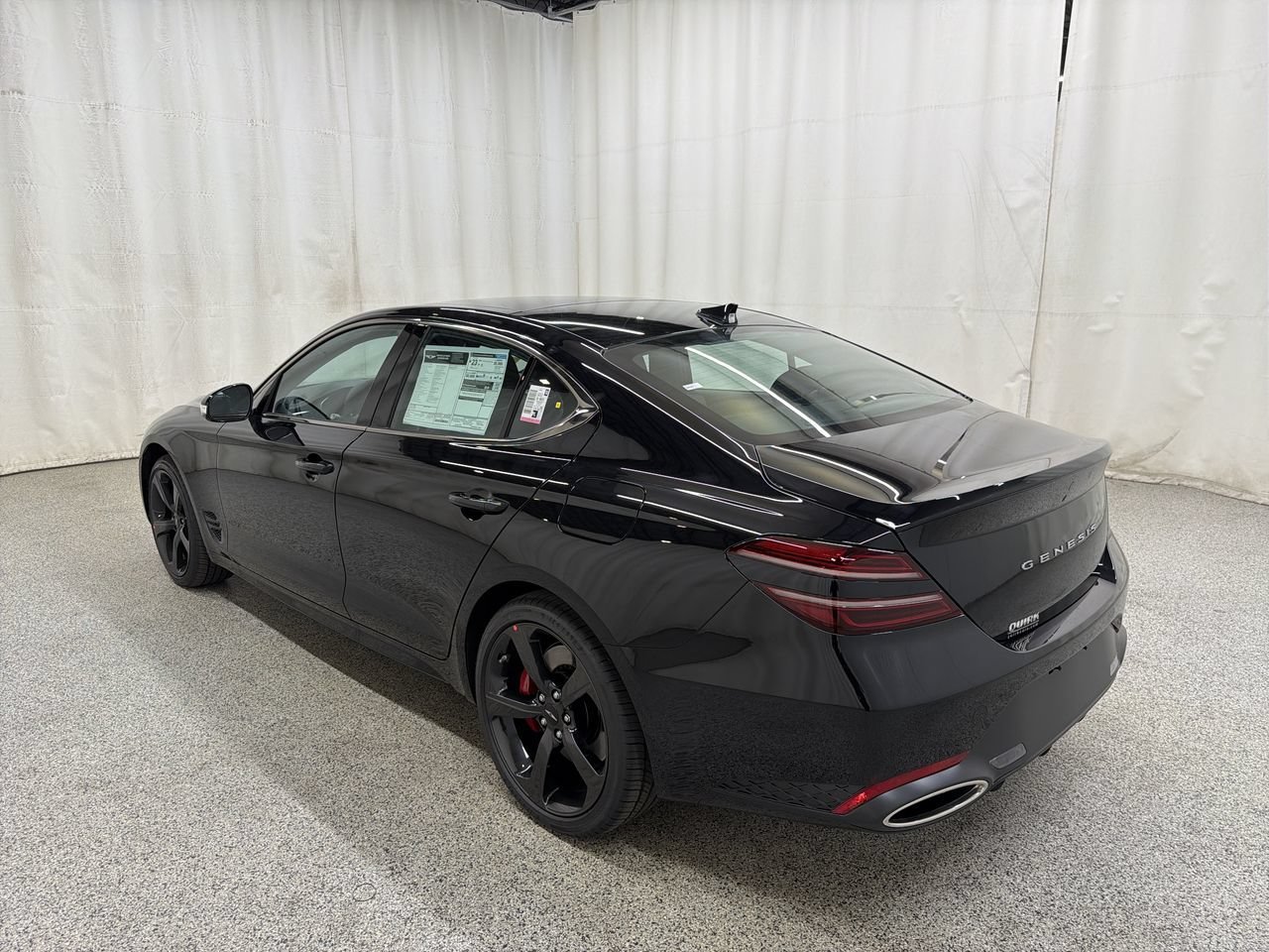 New 2027 Vik Black Genesis Standard image 9
