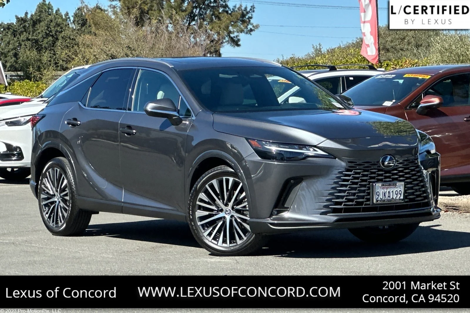 2024 Lexus RX