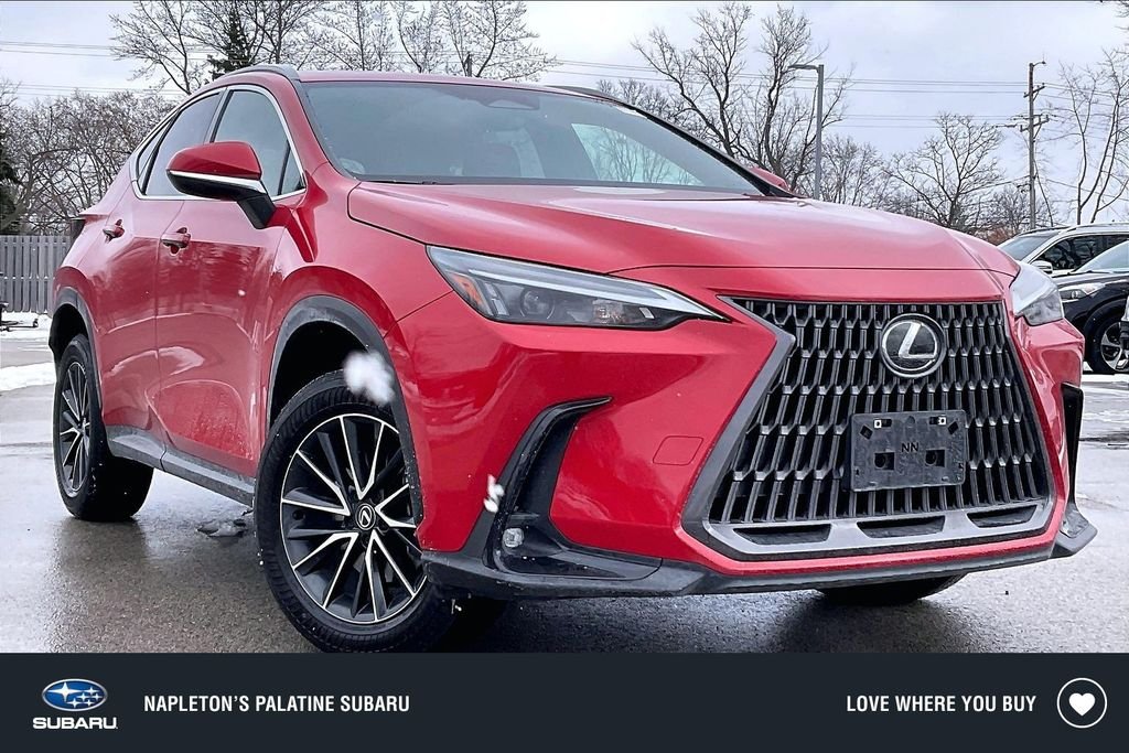 2024 Lexus NX 350