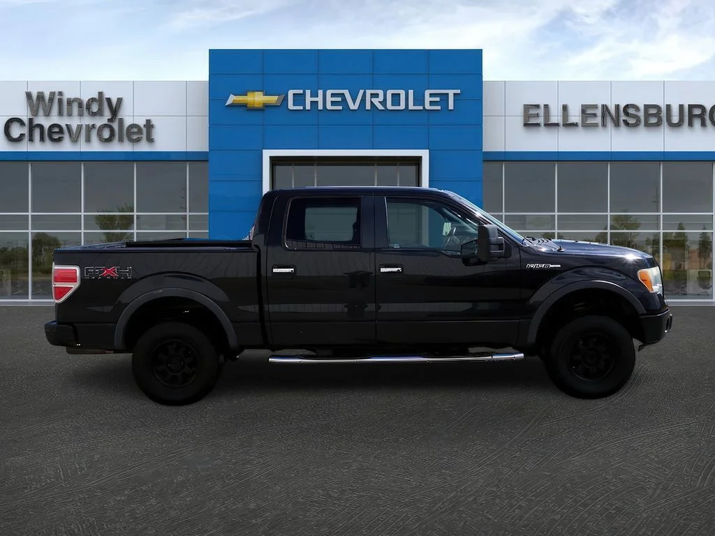 2010 Ford F-150 Platinum - Photo 8