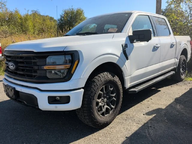 Used 2024 White Ford XLT image 1