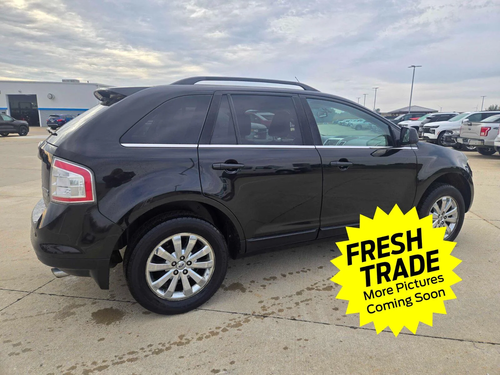 Used 2010  Ford Limited image 4